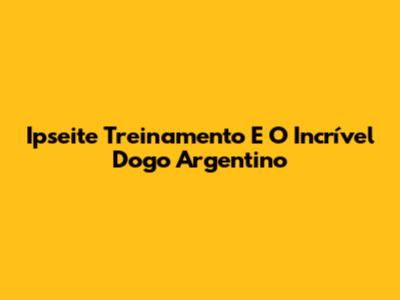 Ipseite Treinamento E O Incrível Dogo Argentino